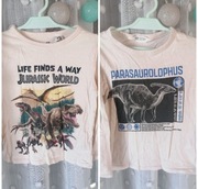 Bluzy bluzki chłopięce rozmiar 110/116 sztuk 19