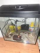 Witam mam do sptzedania akwarium z wyposażeniem w dobrym.stanie polecam