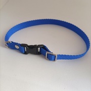 Obroża regulowana dla kota regulowana 25 cm