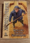 Kroniki Jakuba Wędrowycza - Andrzej Pilipiuk