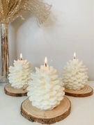 Zestaw świec Leśna szyszka