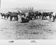 KARINO reż.Jan Batory fotografia fotos filmowy BIAŁY BÓR  24x30