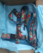 Szelki rozmiar L i smycz 3m, komplet, my howl story