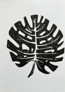 Linoryt - Monstera dziurawa - Monstera deliciosa - 210x297 mm