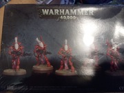 Eldar Wraithguard