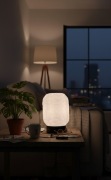 Lampa dekoracyjna 