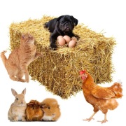 Słoma owsiana kostki kostka ekologiczna zbiór 2025 kąpiele ze słomy