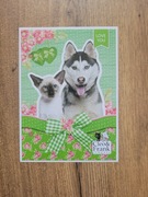 Karteczka do segregatora mała