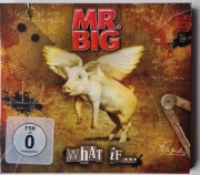 MR.BIG "What If" CD+DVD Special Edition Digipack z 2011r jak NOWY