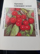 Uprawa czereśni i wiśni - Praca zbiorowa