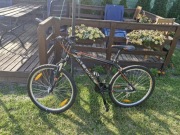 rower alpina eco M20