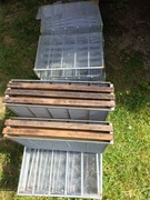 Izolator matki pszczelej 