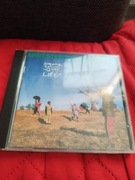 Arrested Development ,,3 Years, 5 months and 2 days on the life od"