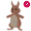Kangaroo Adopt Me AM