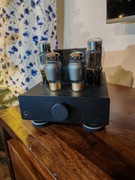 Feliks Audio Euforia wzmacniacz słuchawkowy