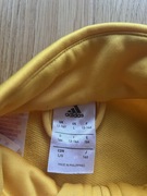 Bluzy WAF stan idealny 13-14 lat 