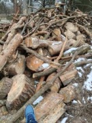 Drewno na opał Dąb Sosna