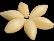 Fondant ziemniak chateau (6cm x 2.5cm) 15szt