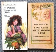 Nowacka Spotkanie nie wiadomo z kim Przybylska W Dolinie Klonowego Liścia