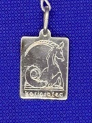 Srebrny 925 znak zodiaku koziorożec
