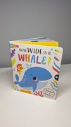 How wide is a whale? Książka po angielsku dla dzieci