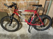 Rower accent m001 21.5"