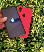 Apple Iphone XR  64GB koralowy
