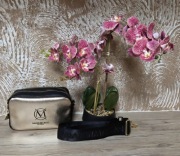 Torebka Damska Massimo Contti Czarno- Złota