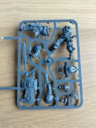 Space Marines Primaris Lieutenant with Storm Shield and neo-volkite pistol