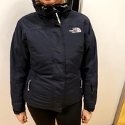 The north face 550