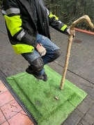 Uliczna sztuczka magiczna