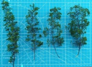 Drzewa z komosy ciernistej. Rozmiar: średni, kolor light green