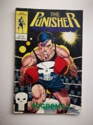 Tm-semic. Punisher 5/91