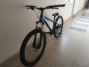 Rower Kellys Whip 50