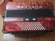 Akordeon Delicia