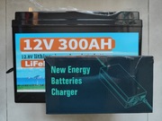 Akumulator, magazyn energii LifePo4 300Ah 3840Wh  + ładowarka 10A