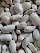 fasola karłowa Jaś 1 kg