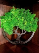 Drzewko z mchem chrobotkiem