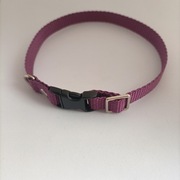 Obroża regulowana dla kota regulowana 25 cm