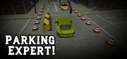 PARKING EXPERT! steam key