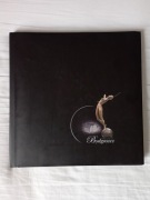 Album Bydgoszcz miasto zabytki Praca zbiorowa