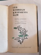 Cud wtórnego kwitnienia śliw