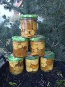 Podgrzybki grzyby marynowane ATEST podgrzybek 