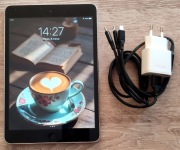 iPad mini 2 WiFi 16GB