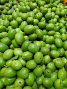 Zielone Orzechy Włoskie na nalewki!!! 