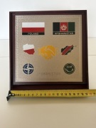 Ryngraf - Poland Afghanistan