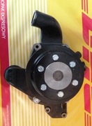 Pompa wody SW680 ładowarka Ł34