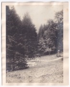 Międzygórze ok.1900r FOTOGRAFIA DUŻA TEKTURA  x208