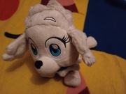 Piesek biały Chi chi love