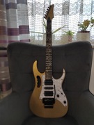 Gitara DIY w stylu Ibanez Jem Jr. Steve Vai signature